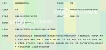 廣西和信高盛非融資性擔保有限公司防城港分公司 聚焦非融資性擔保，服務(wù)地方經(jīng)濟