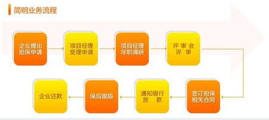 融資性擔保公司的業(yè)務(wù)流程與核心運作機制