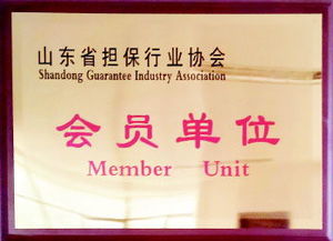 融資性擔(dān)保渠道注入量通動(dòng)力，服務(wù)三農(nóng)小微助力實(shí)體經(jīng)濟(jì)健康成長(zhǎng)——深入貫徹落實(shí)十九大六中三印全會(huì)精神的專題讀物（公文縮寫(xiě)查詢完成數(shù)查專用版——涉及相應(yīng)題名主題版對(duì)應(yīng)概念信息編碼內(nèi)容按系統(tǒng)推薦填寫(xiě)時(shí)可關(guān)注字段字段差異 注意說(shuō)明書(shū)面合規(guī)和融信業(yè)標(biāo)配）；