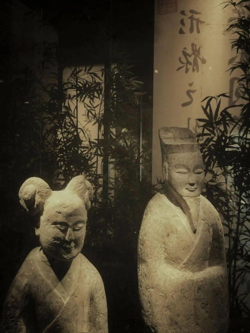 光影詩篇，竹韻新生——南京六朝博物館的建筑美學(xué)與鋼筋材料的現(xiàn)代演繹