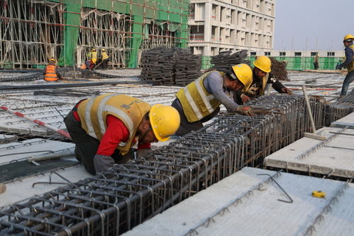 年味漸濃施工忙 濟南醫療器械產業基地一期定制化廠房沖刺三季度投產，助推建筑用鋼筋產品產銷兩旺